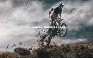 开云体育_B费二十八球里程碑，跻身葡萄牙队史射手榜第六