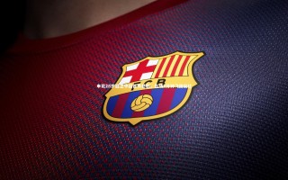 开云体育-申花28岁后卫中超首秀悲剧，出场2分钟飞踹染红